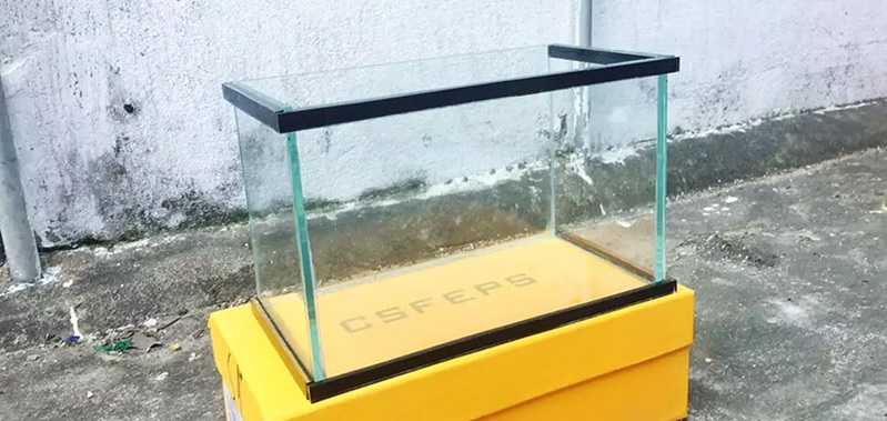 Các bước decal dán kính bể cá cảnh